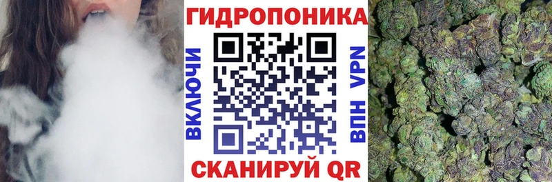 Где купить наркоту Свободный Конопля  А ПВП  Псилоцибиновые грибы  Гашиш  МЕФ  Кокаин 