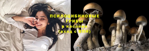 мескалин Белокуриха